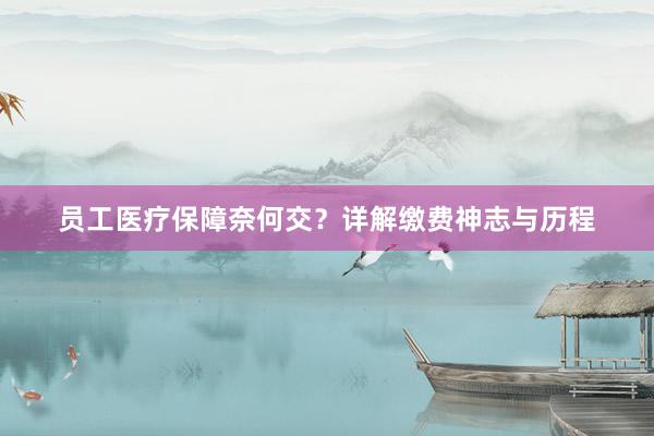 员工医疗保障奈何交？详解缴费神志与历程
