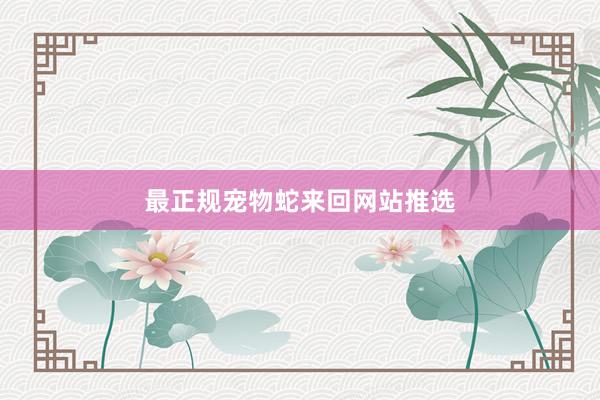 最正规宠物蛇来回网站推选