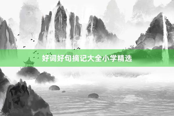 好词好句摘记大全小学精选